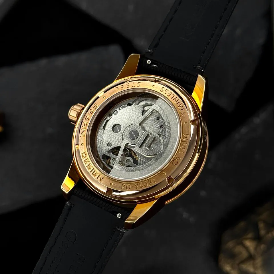 Pagani Design PD-YS021 Black-Gold, фото 4